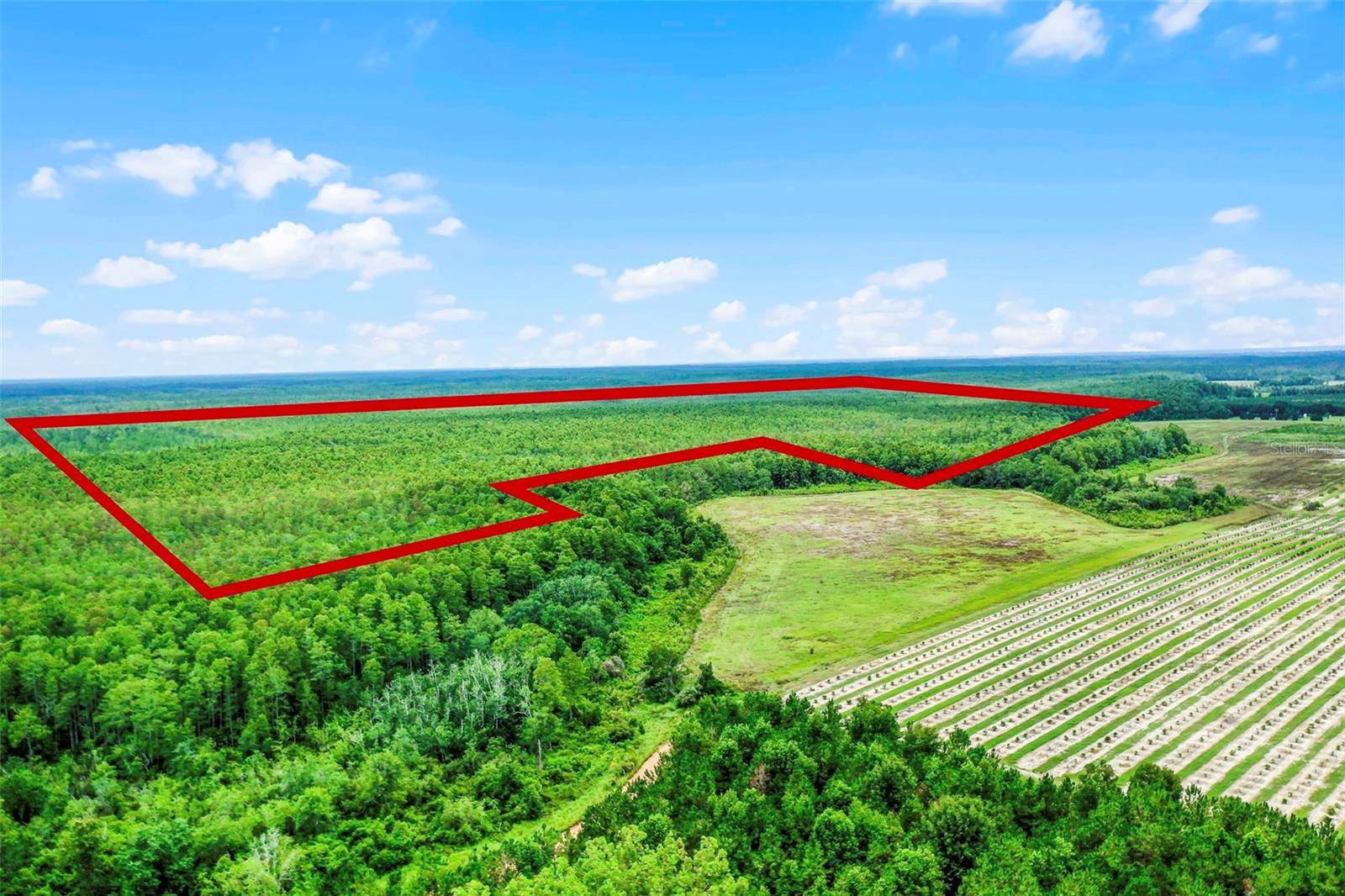 Clermont, FL 34711,S BOGGY MARSH RD