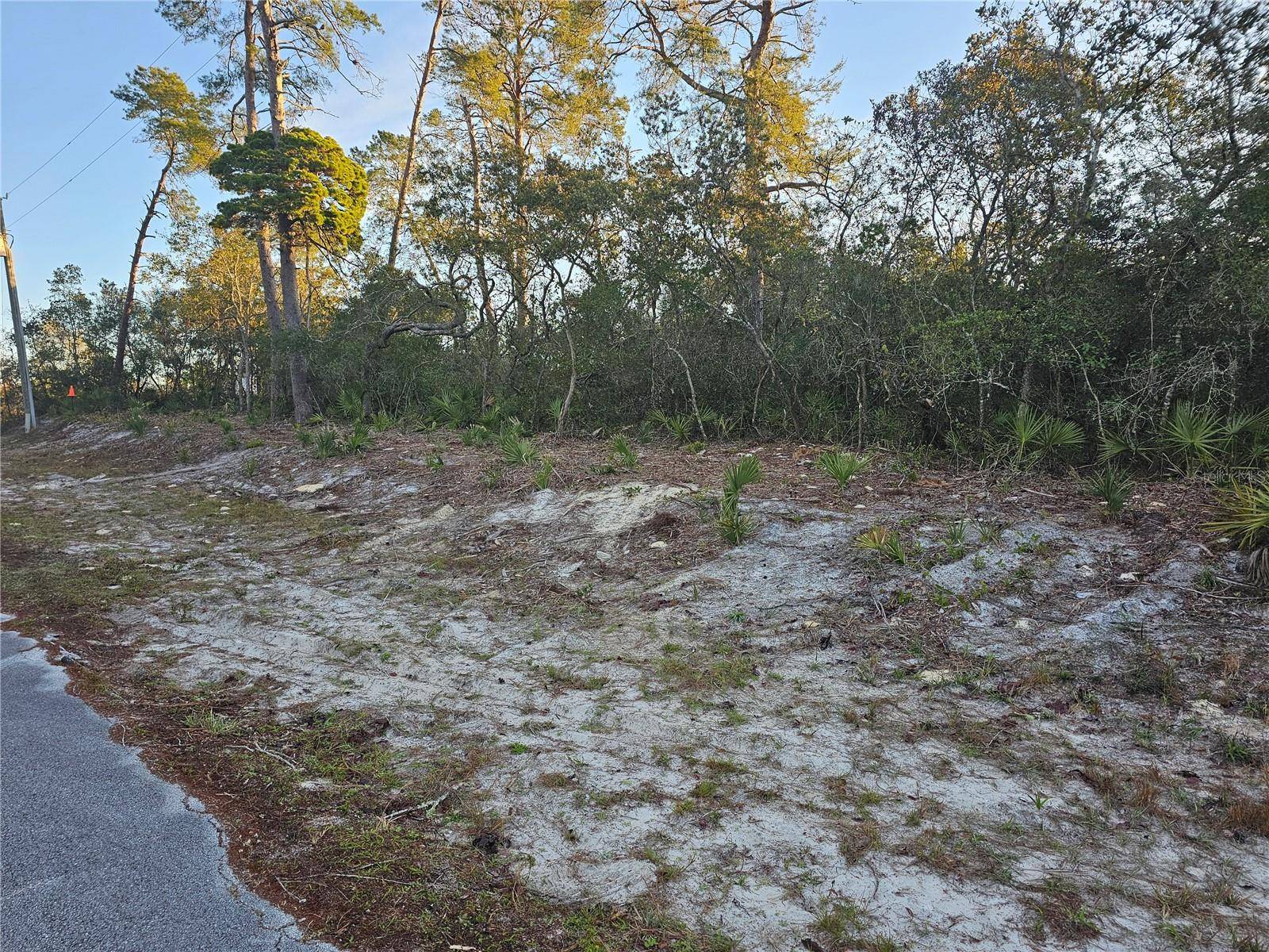 Eustis, FL 32736,41930 CASSIA ST