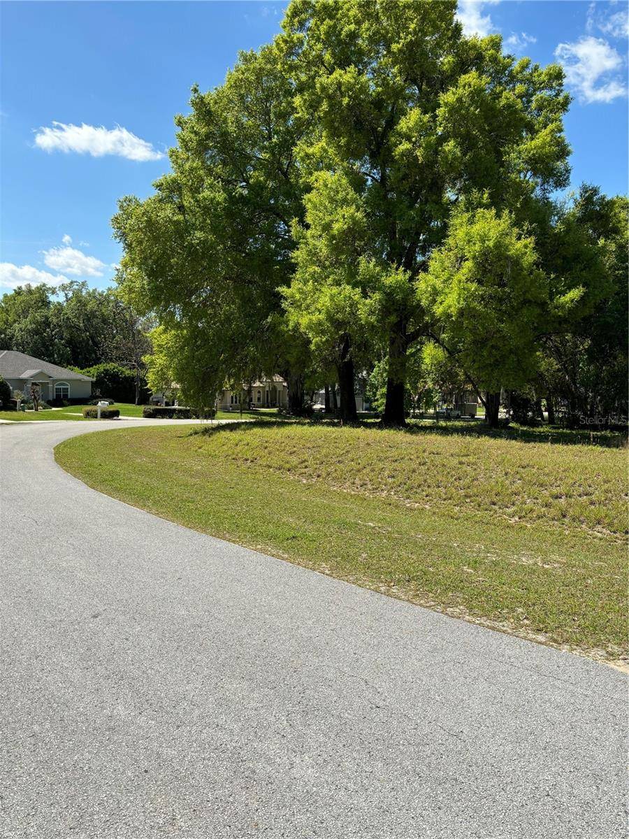 Lady Lake, FL 32159,OAK POINTE DR