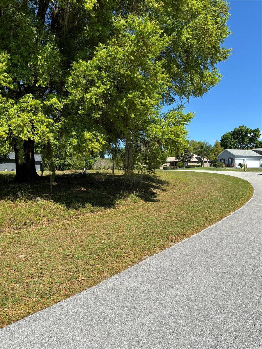 Lady Lake, FL 32159,OAK POINTE DR