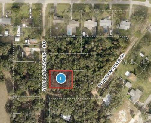 Fruitland Park, FL 34731,STUMPKNOCKER DR