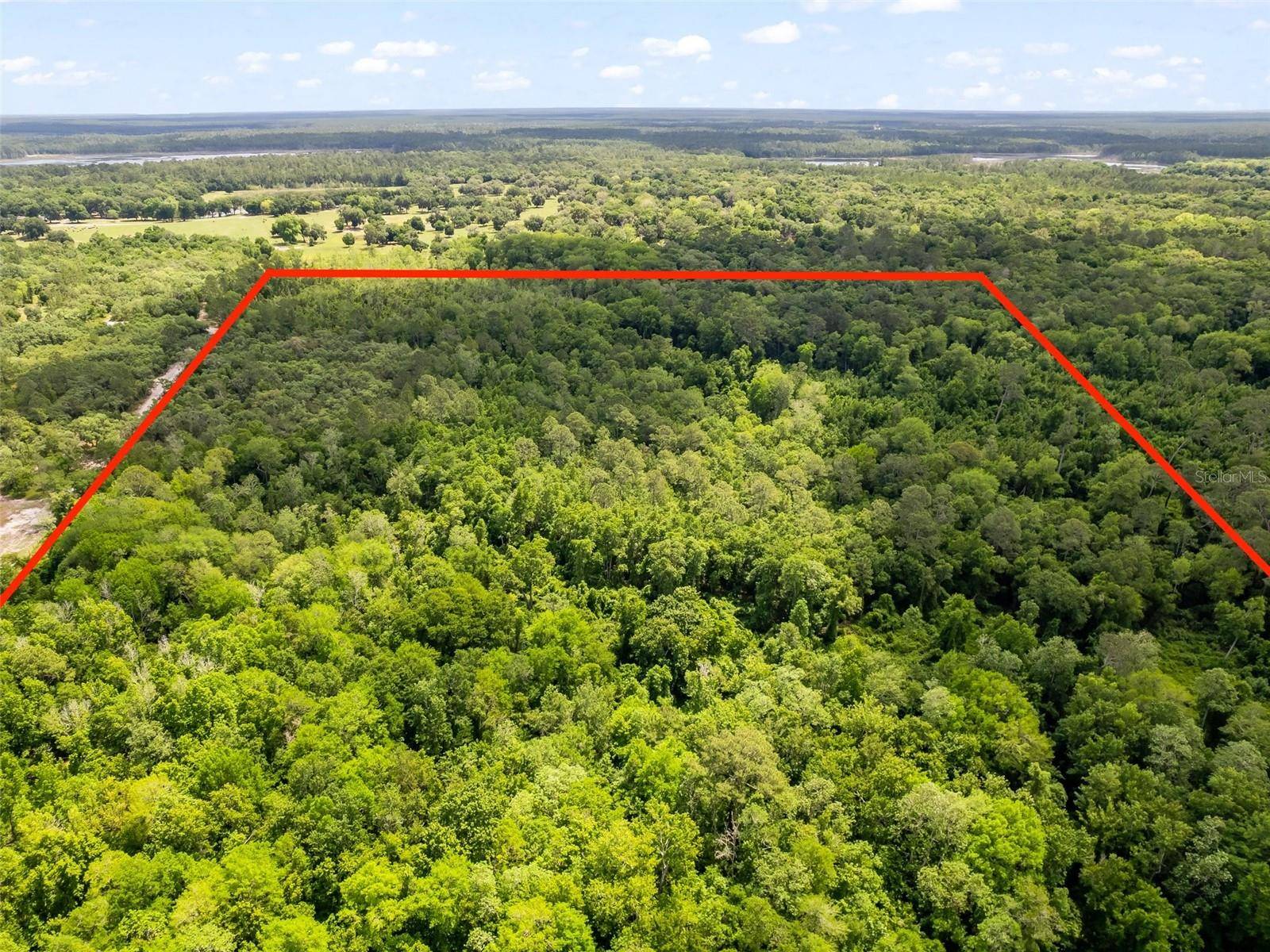 Ocklawaha, FL 32179,SE 182ND AVENUE RD