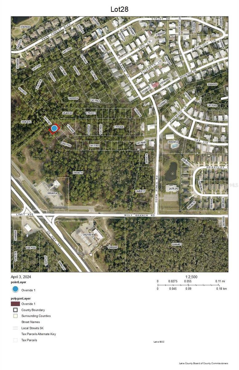 Mount Dora, FL 32757,Lot 28 US HWY 441