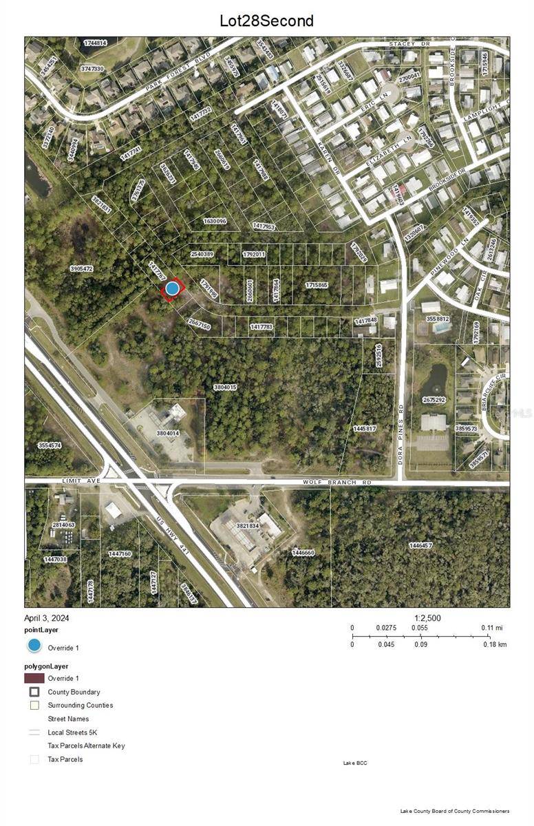 Mount Dora, FL 32757,Lot 28 US HWY 441