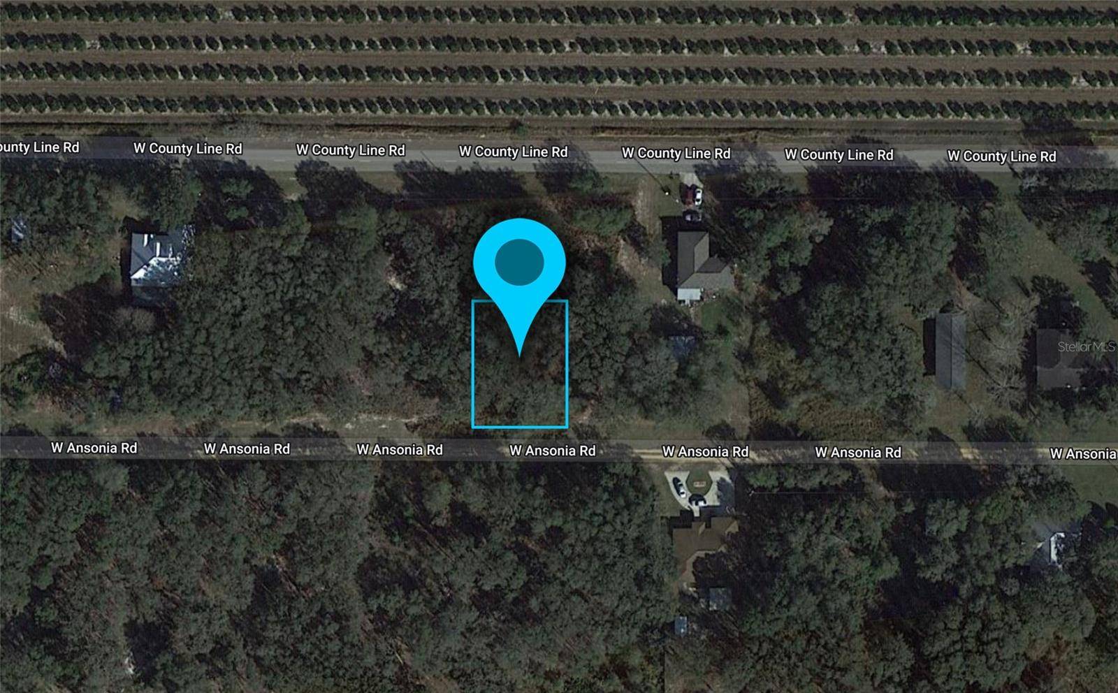 Avon Park, FL 33825,3180 W ANSONIA RD