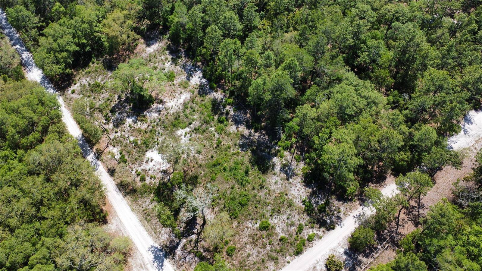 Dunnellon, FL 34432,SW 158TH LN