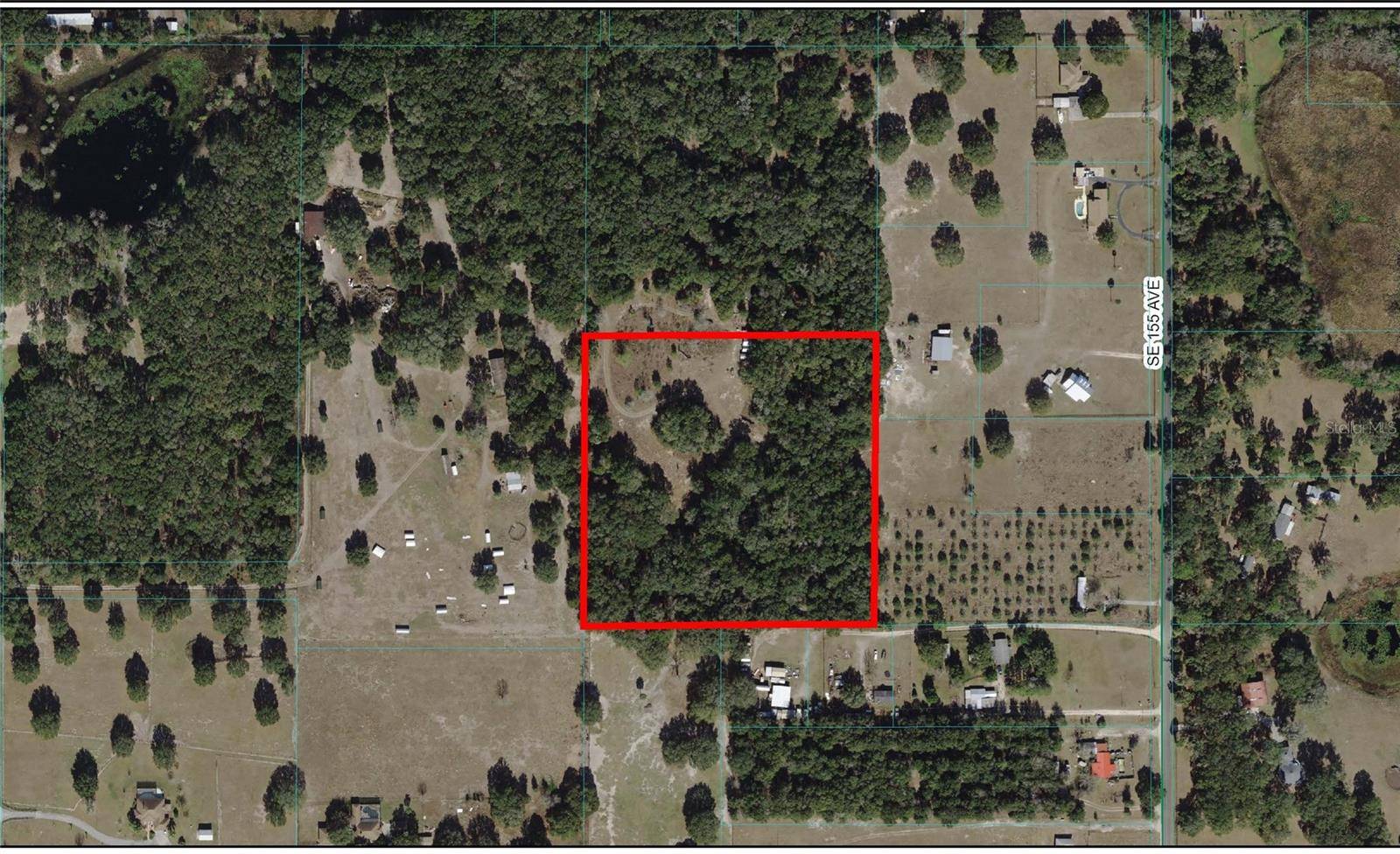 Weirsdale, FL 32195,TBD E HWY 42