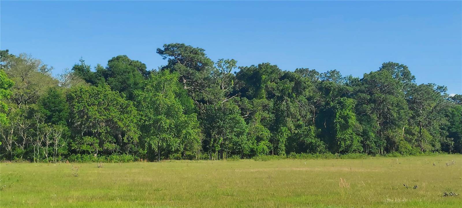 Oxford, FL 34484,000 CR 475