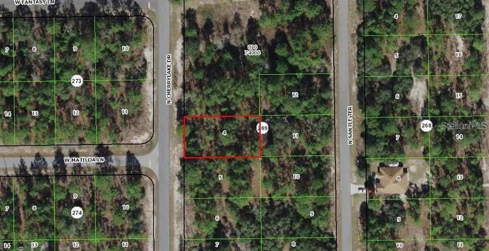 Citrus Springs, FL 34433,9839 N CHERRY LAKE DR