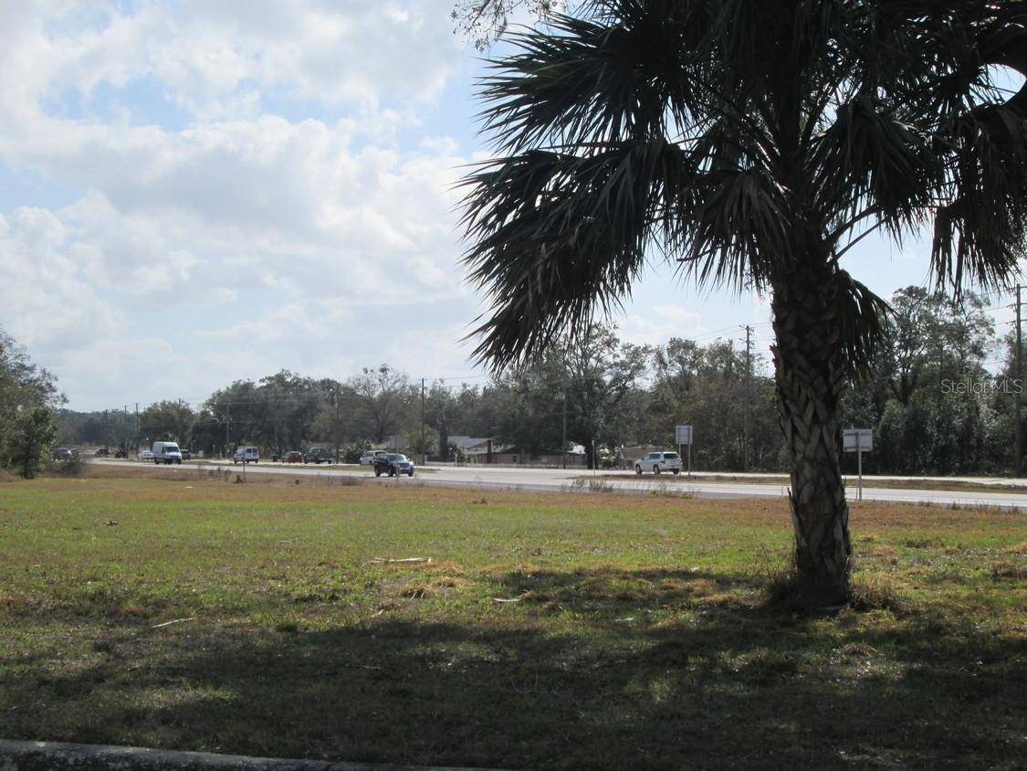 Mount Dora, FL 32757,4411 N ORANGE BLOSSOM TRL