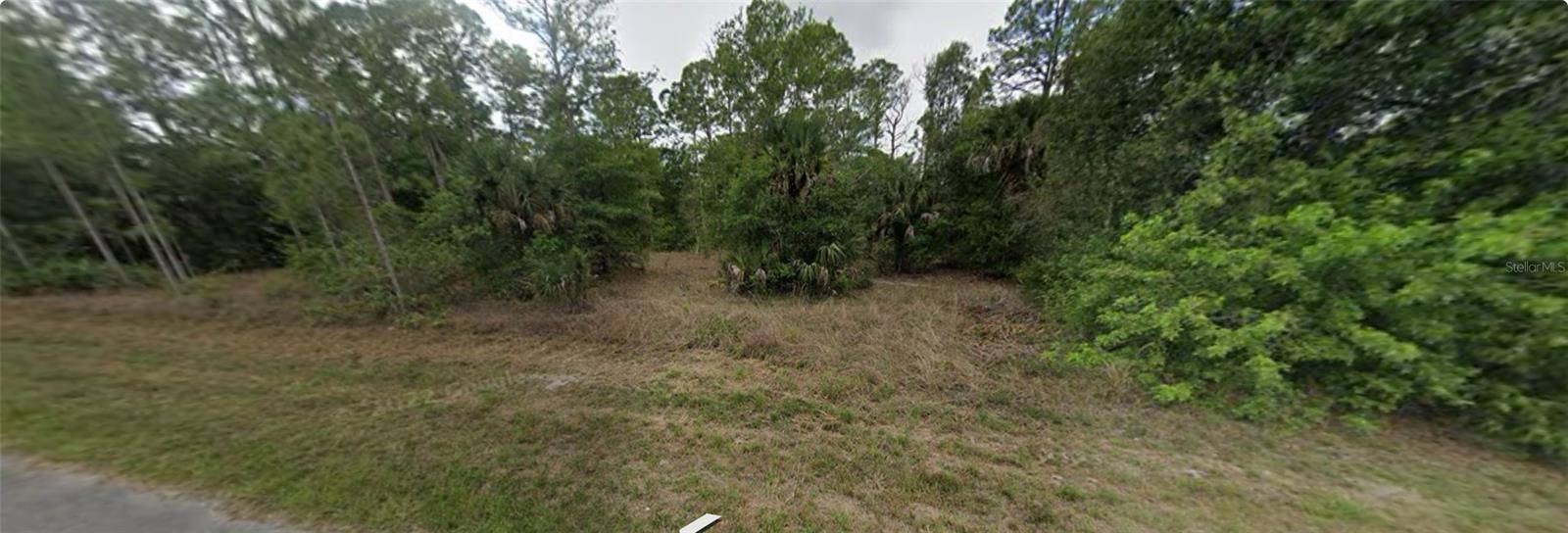Lehigh Acres, FL 33972,1007 LEROY AVE