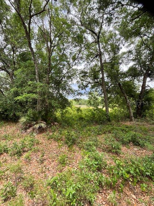 Ocklawaha, FL 32179,TBD 170th SE AVENUE RD