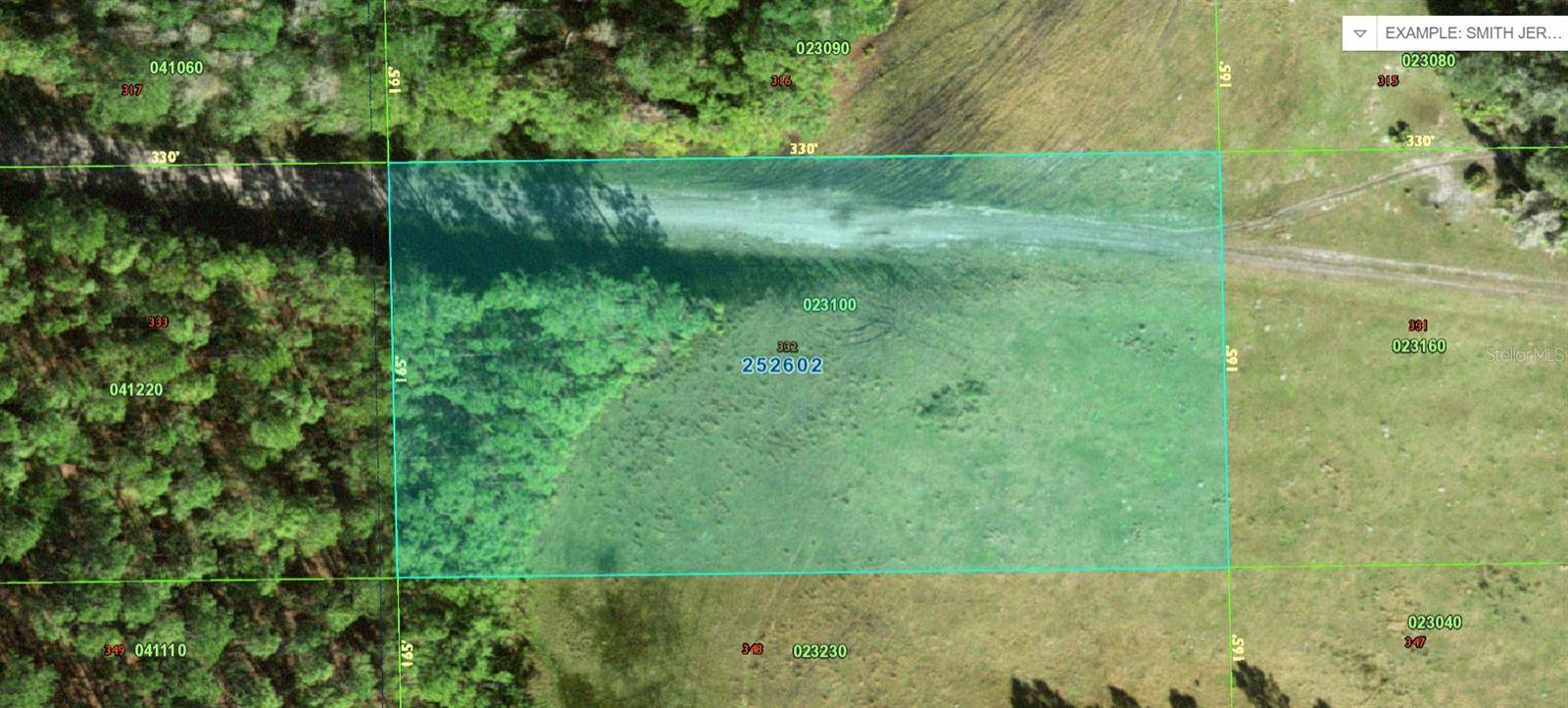 Polk City, FL 33868,DEEN STILL RD