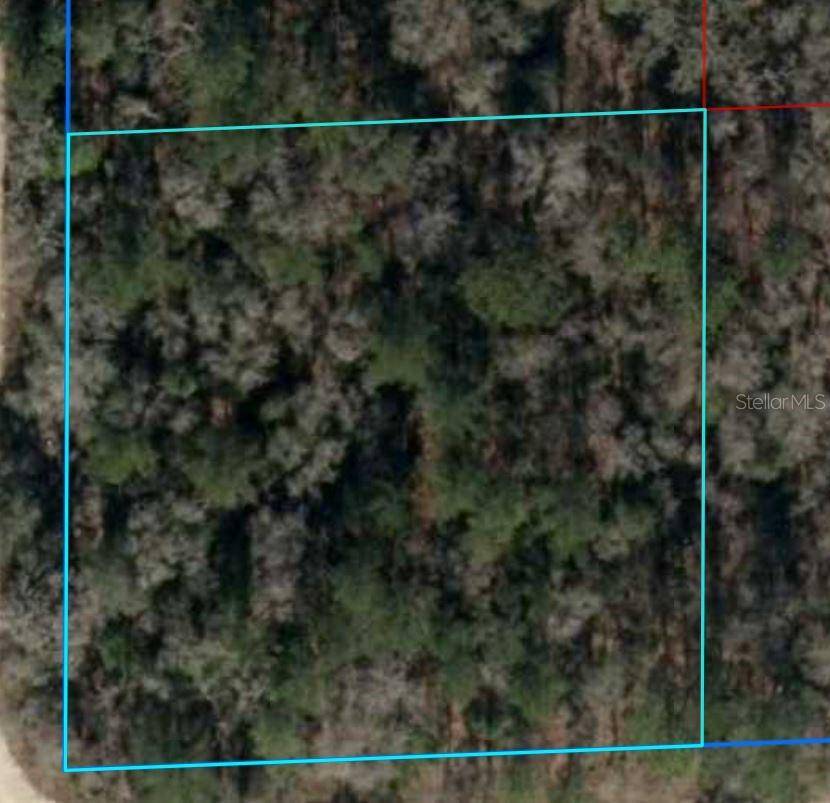 Williston, FL 32696,NE 16TH ST #Lot 6