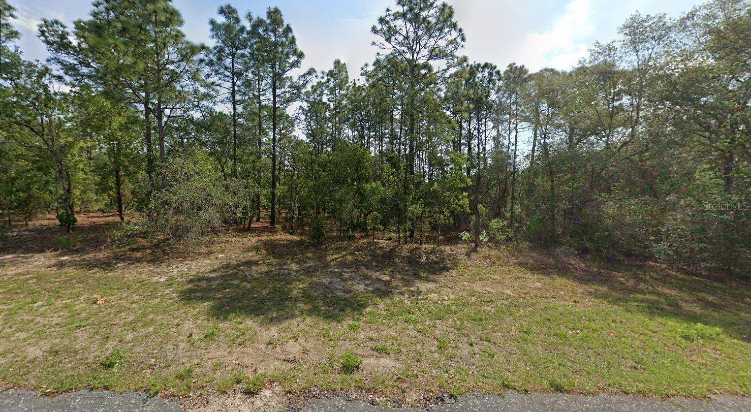 Citrus Springs, FL 34434,8059 N CREEK WAY