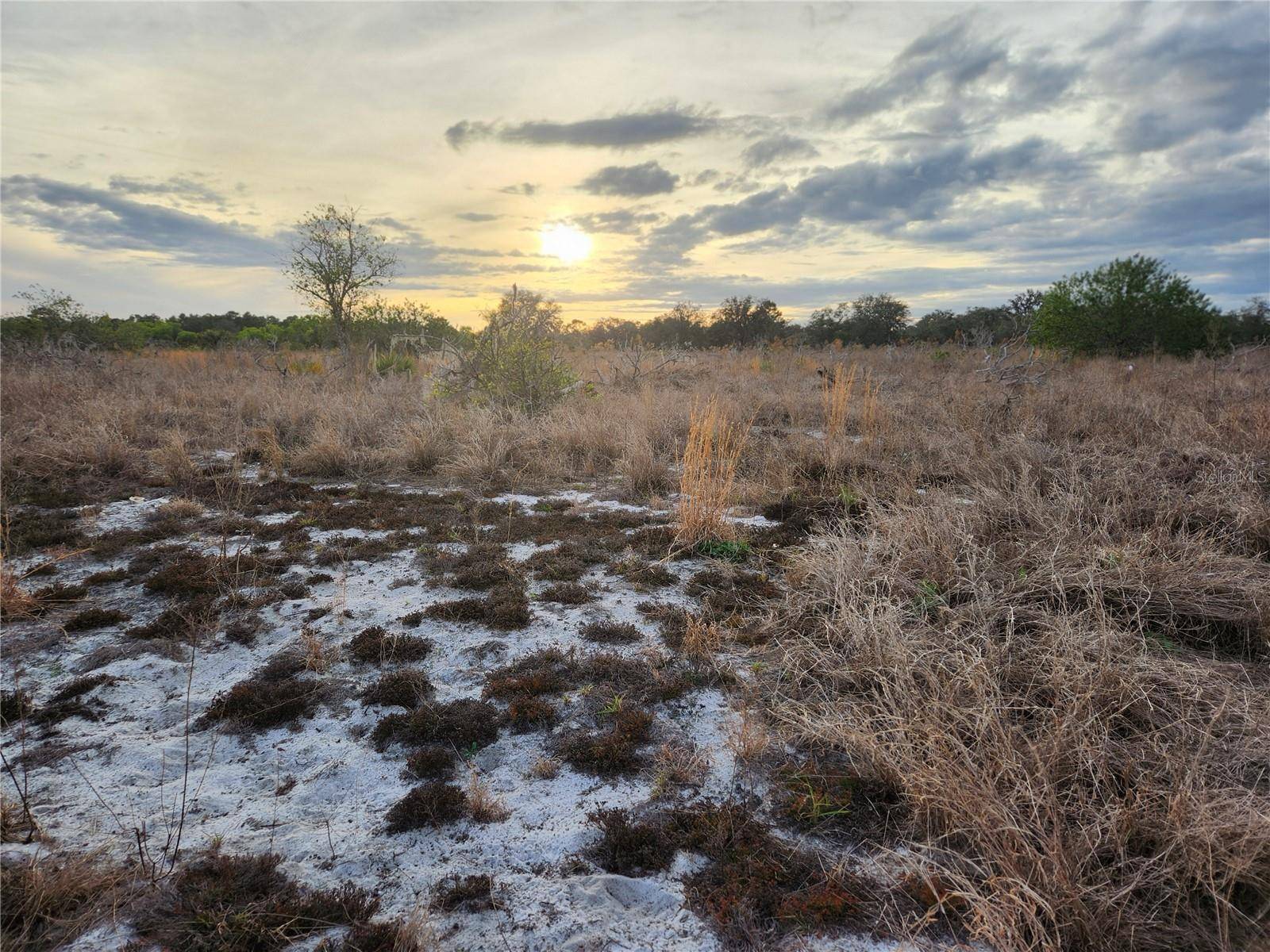 Frostproof, FL 33843,W FROSTPROOF RD #Lot 10