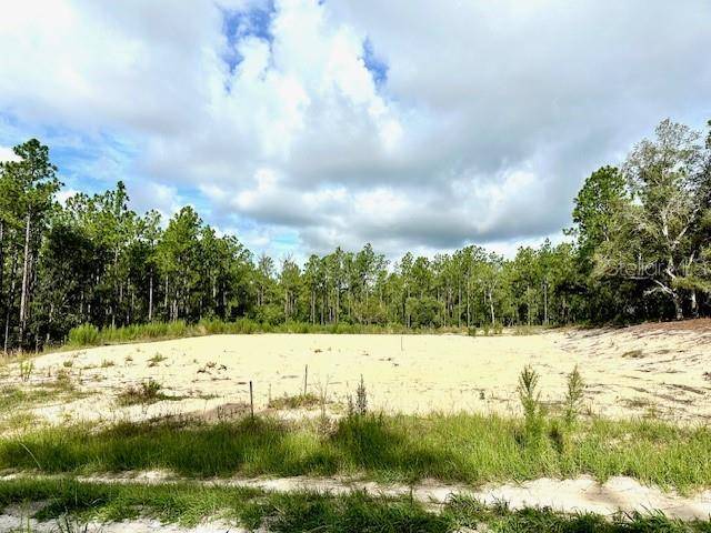 Ocala, FL 34481,6106 SW 127TH AVENUE RD