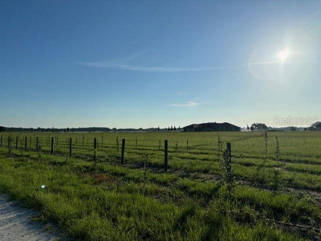 Clermont, FL 34714,0 OTT WILLIAMS RD