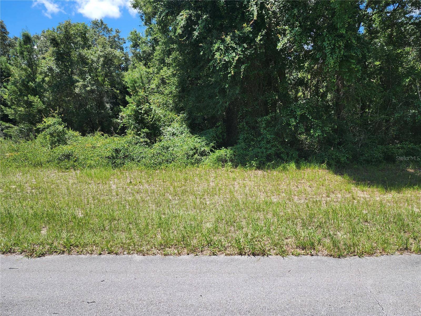 Ocala, FL 34473,SW 132 LN