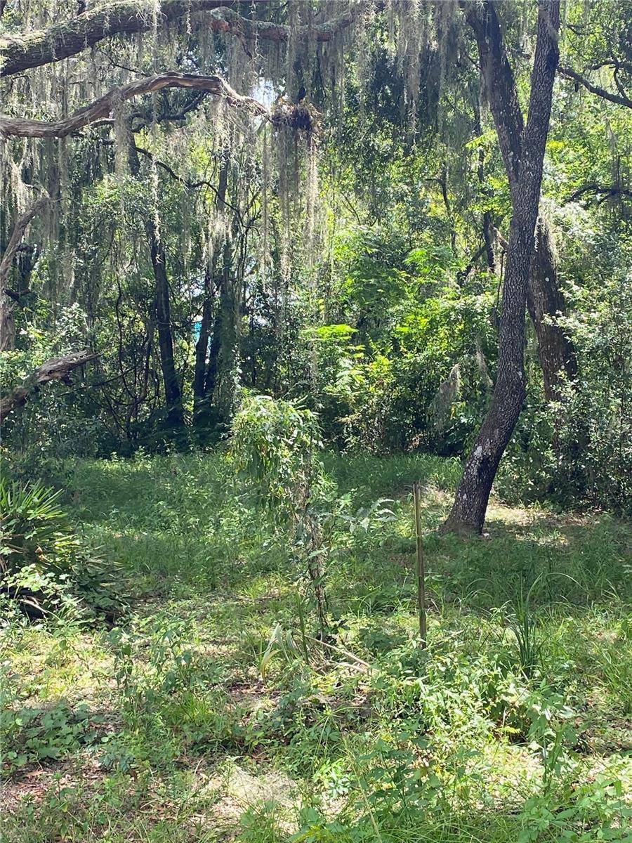 Lake Panasoffkee, FL 33538,CR 448C