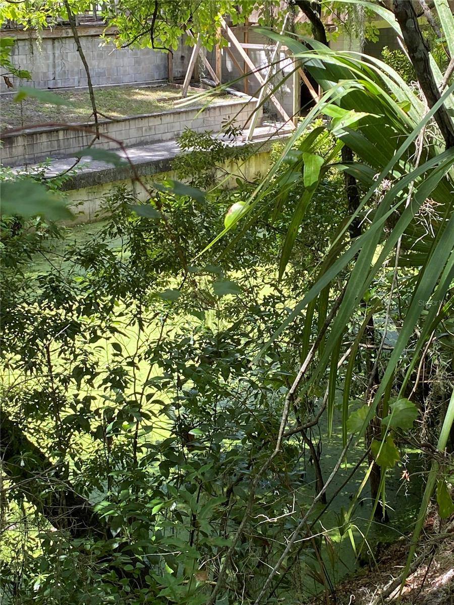 Lake Panasoffkee, FL 33538,CR 448C