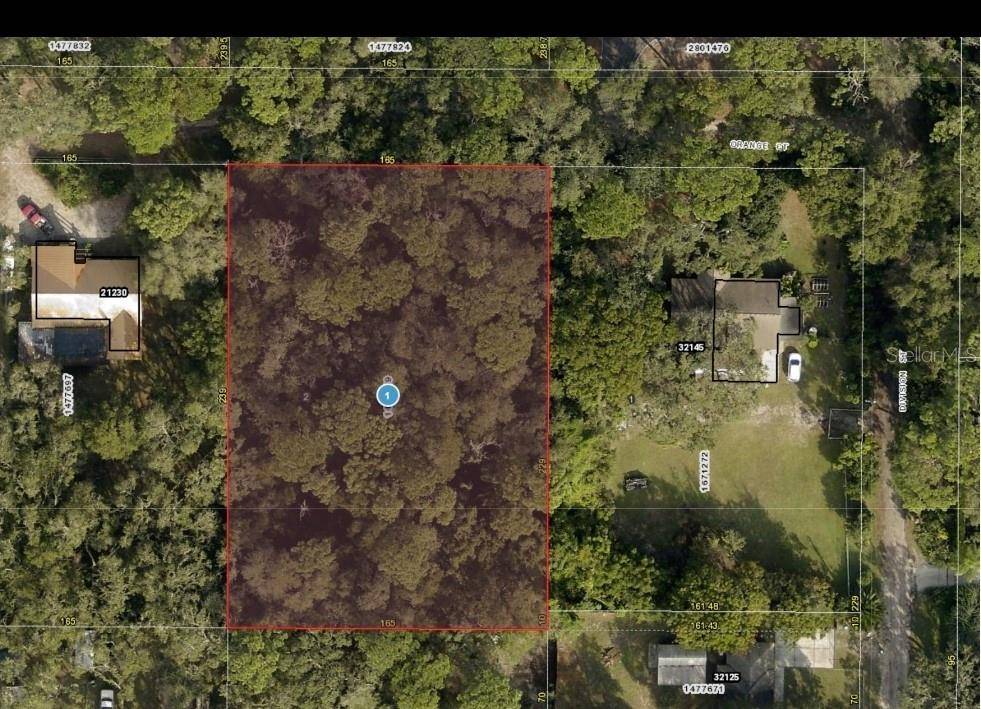 Mount Dora, FL 32757,21250 ORANGE CT