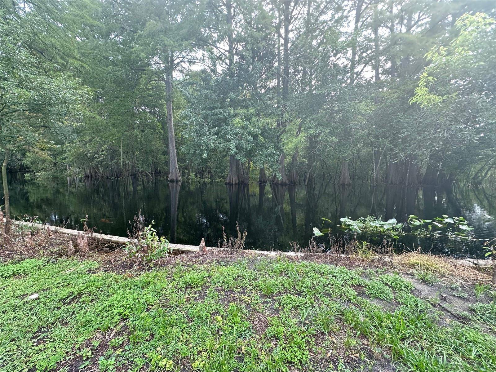 Bushnell, FL 33513,COUNTY ROAD 651