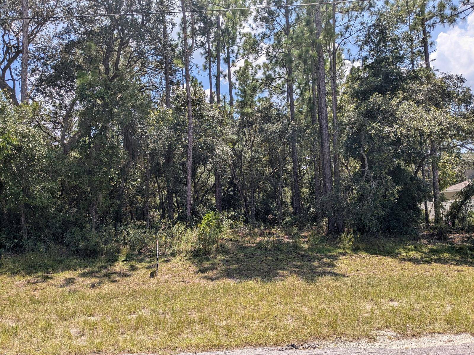 Ocala, FL 34473,6886 SW 146TH LANE RD