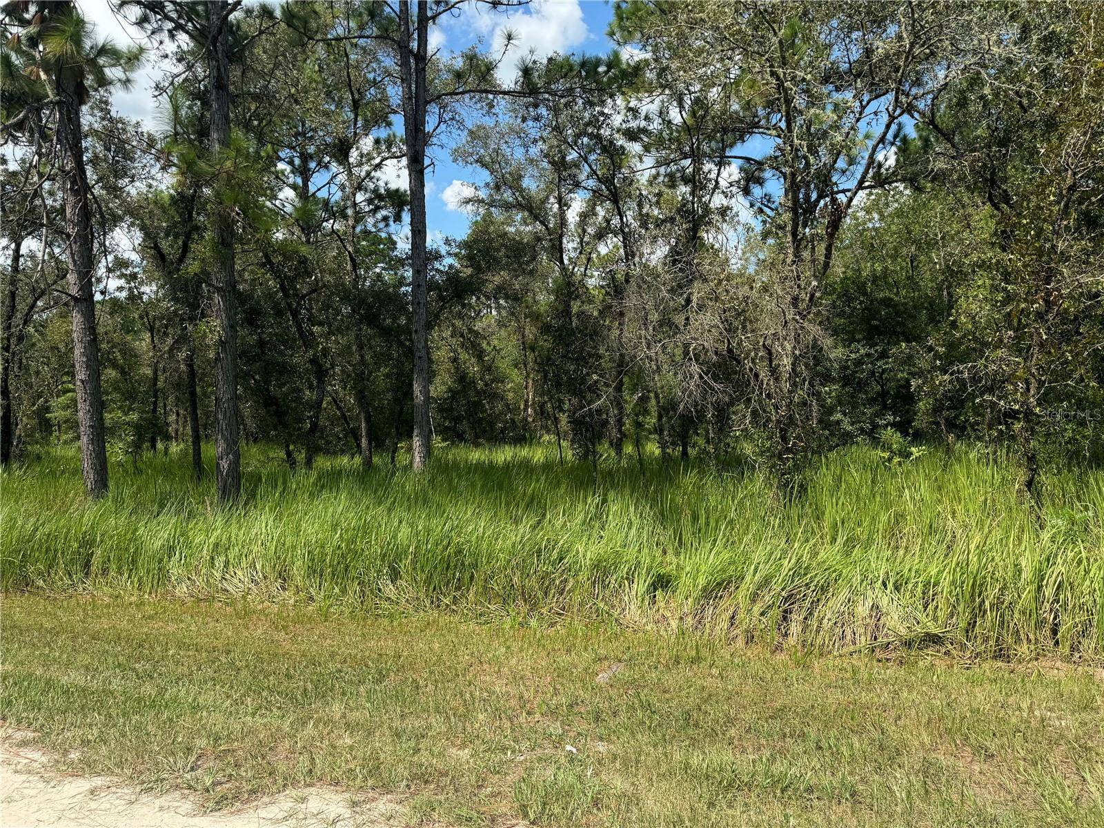 Dunnellon, FL 34432,0000 SW 125TH COURT RD