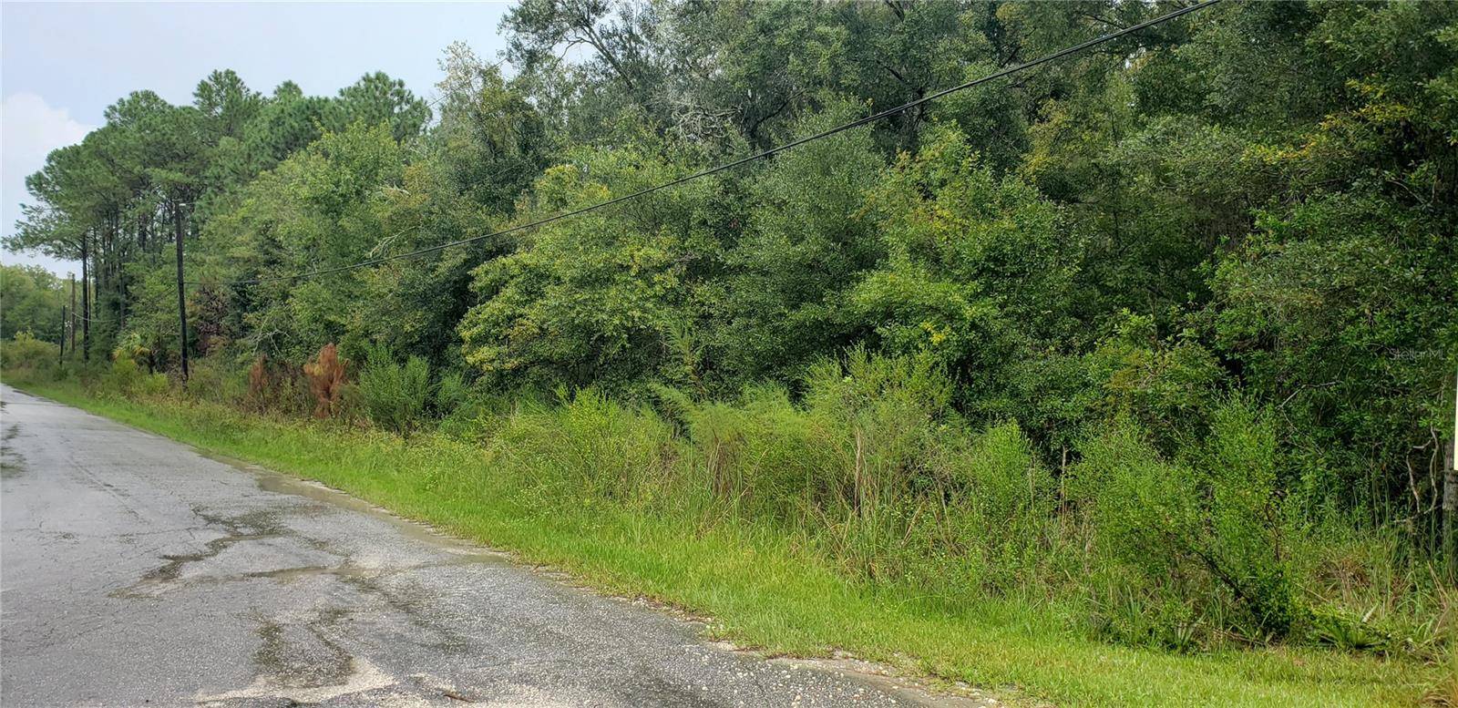 Crystal River, FL 34429,1179 N TESSA TER