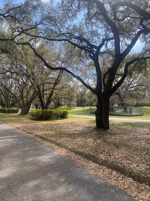 Lady Lake, FL 32159,577 DOWLING CIR