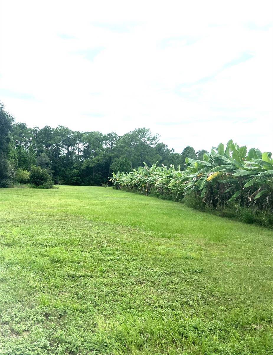 Groveland, FL 34736,Address not disclosed