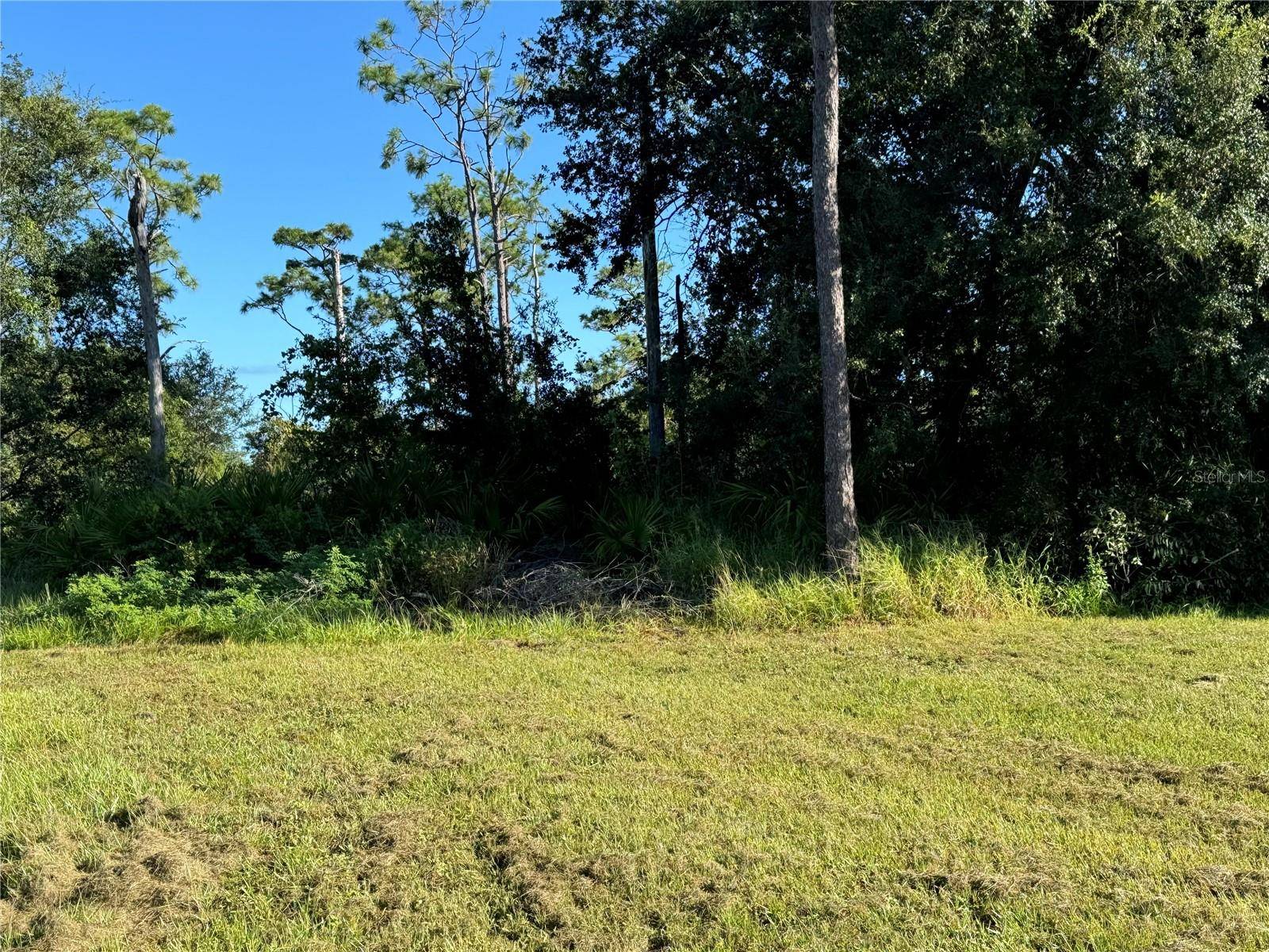 Kissimmee, FL 34759,638 JAGUAR CT