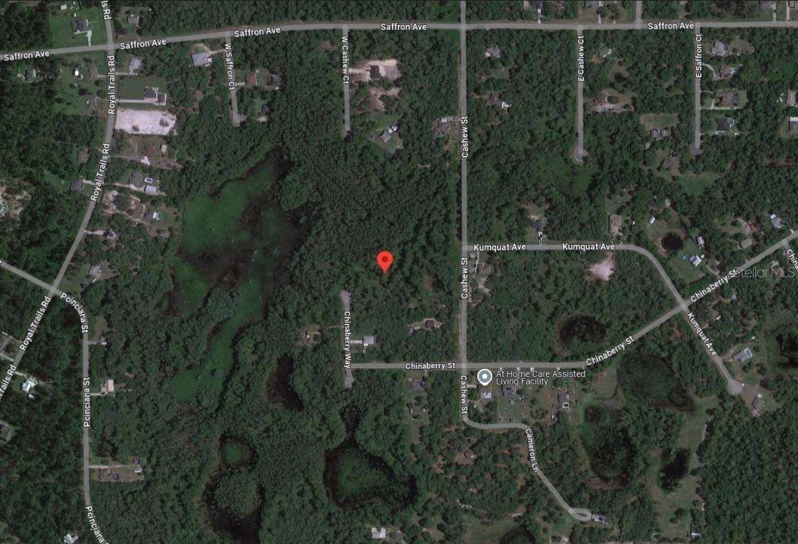 Eustis, FL 32736,TBD CHINABERRY WAY