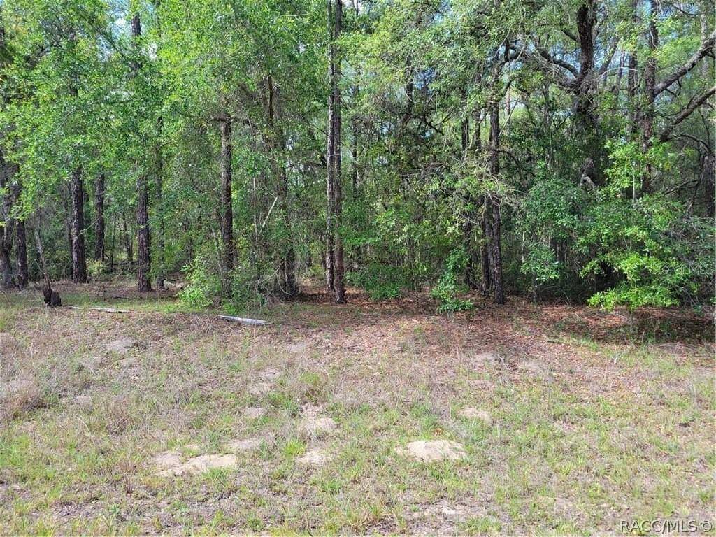 Dunnellon, FL 34434,609 E CANTERBURY LN