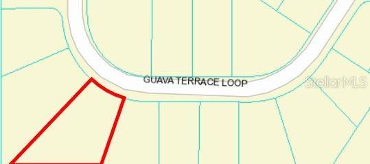 Ocklawaha, FL 32179,TBD GUAVA TERRACE PASS