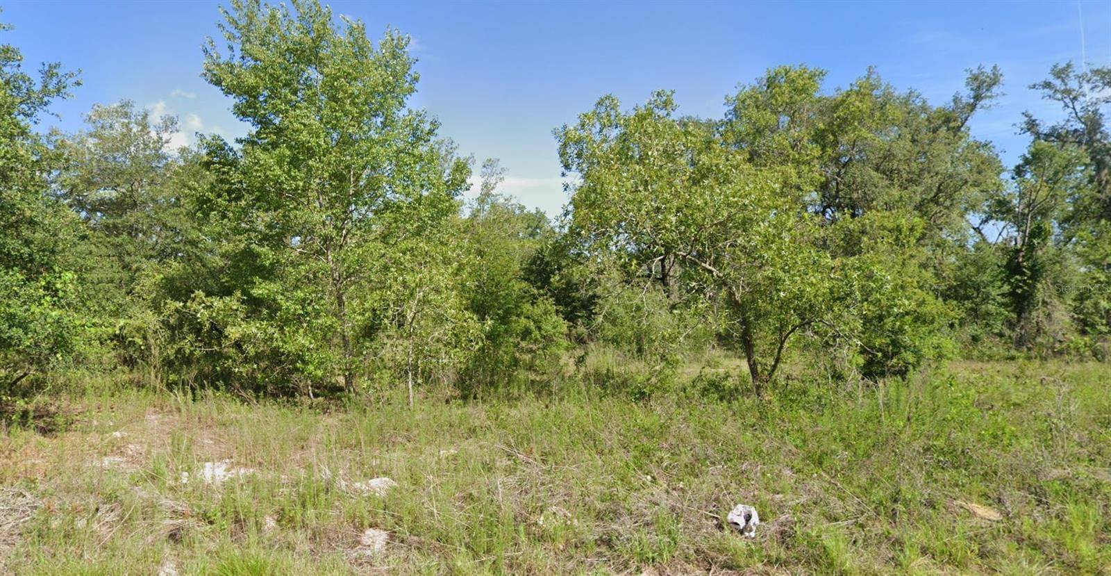 Ocklawaha, FL 32179,000 GUAVA LANE CRSE #13