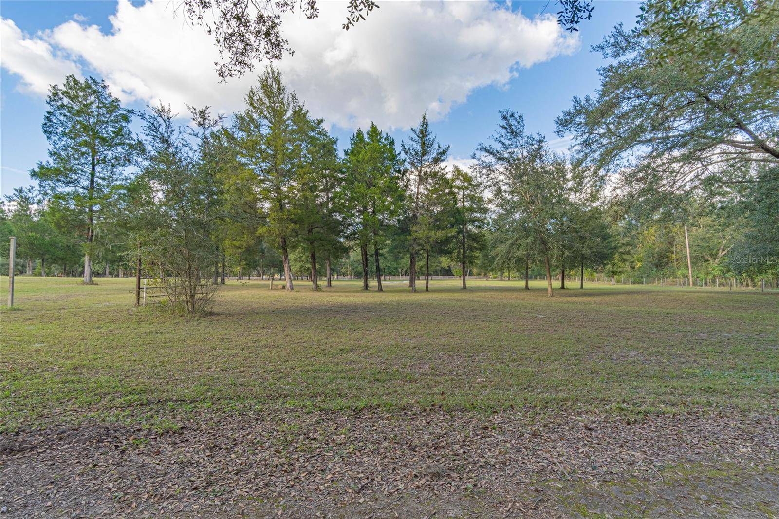 Bushnell, FL 33513,2557 CR 674A