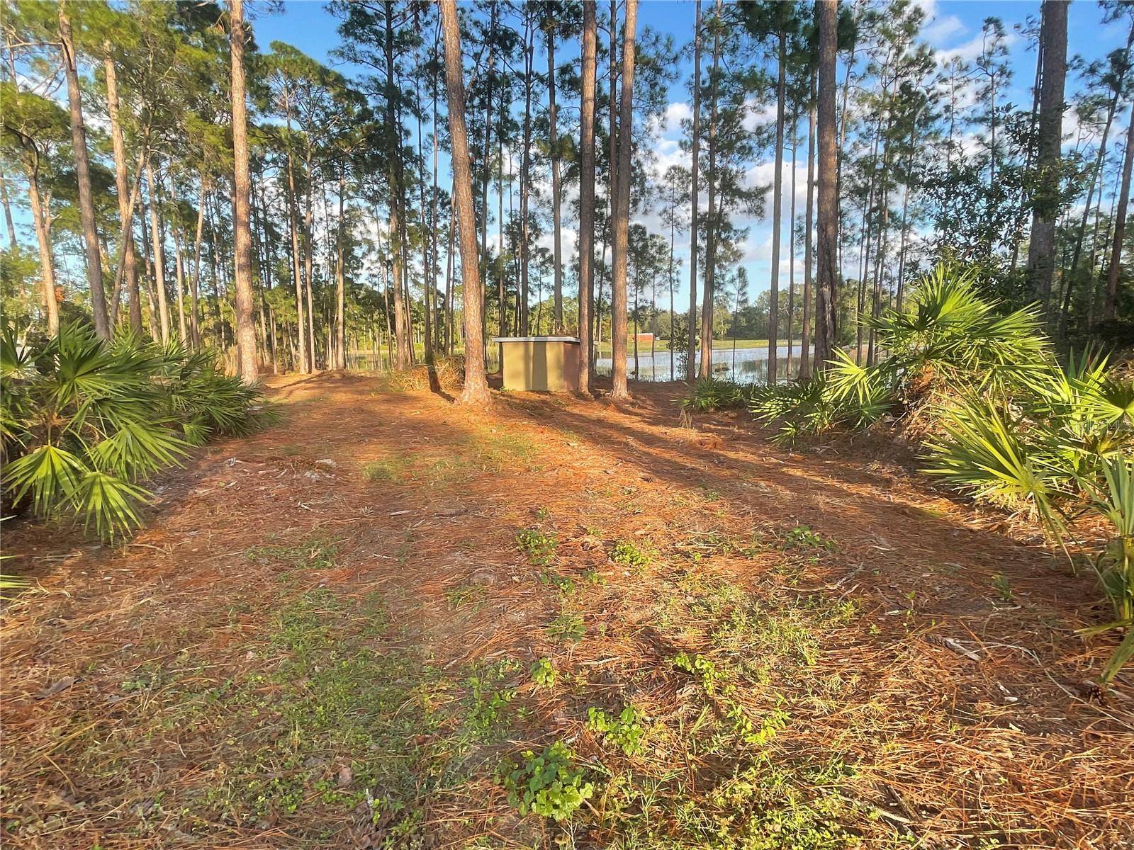 Eustis, FL 32736,HOLLY BRANCH RD