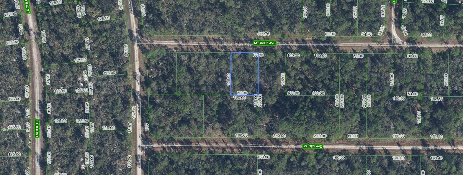 Lake Placid, FL 33852,3116 MERRICK AVE