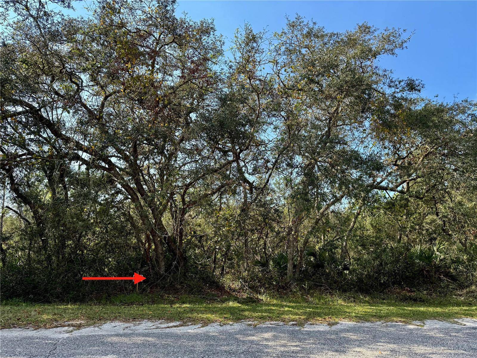 Eustis, FL 32736,LOT 10 E CASHEW CT