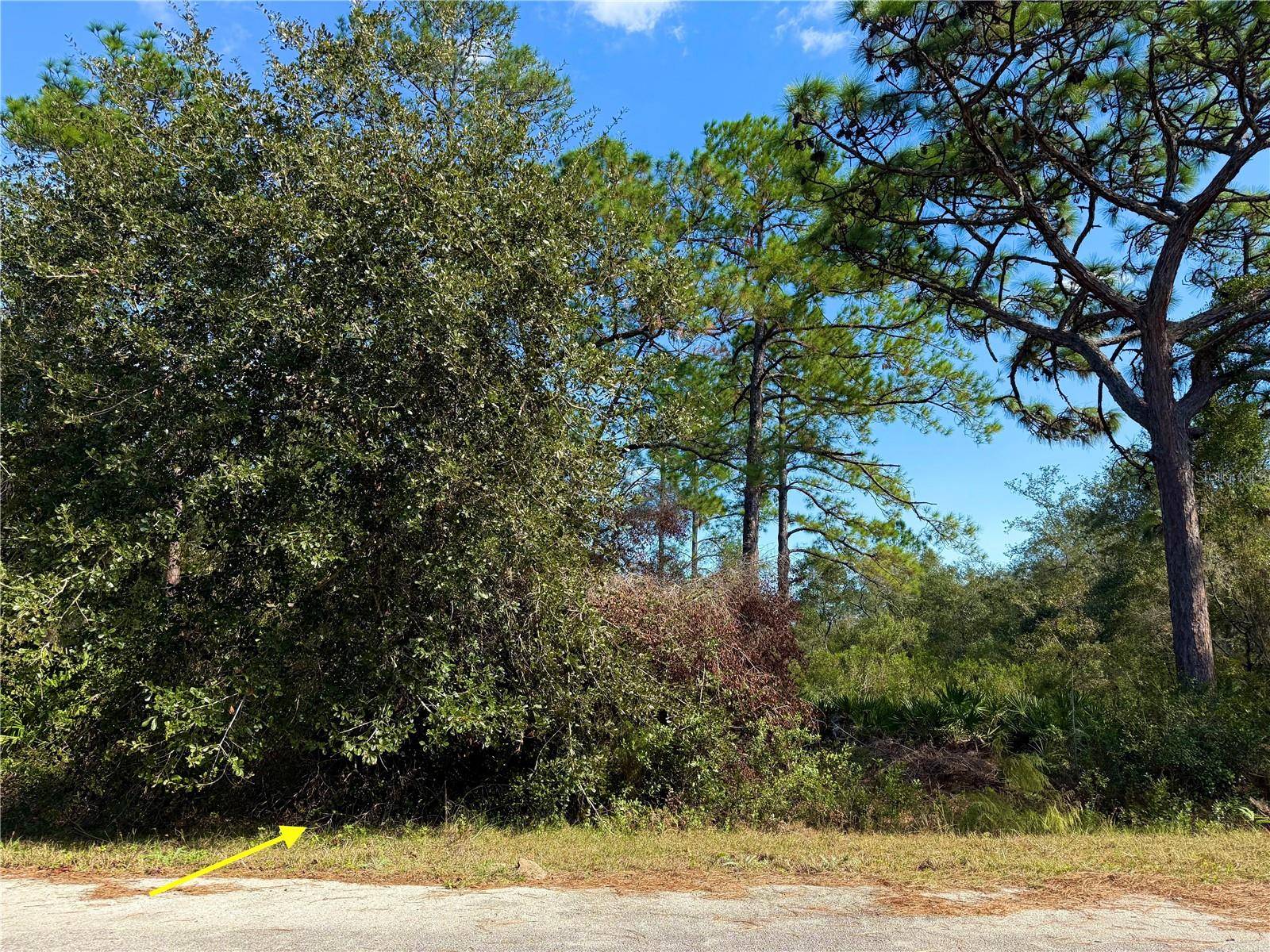 Eustis, FL 32736,LOT 7 CHINABERRY WAY