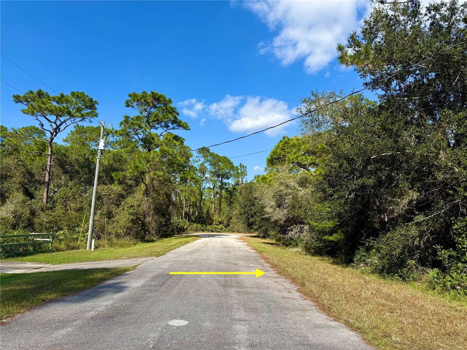 Eustis, FL 32736,LOT 7 CHINABERRY WAY