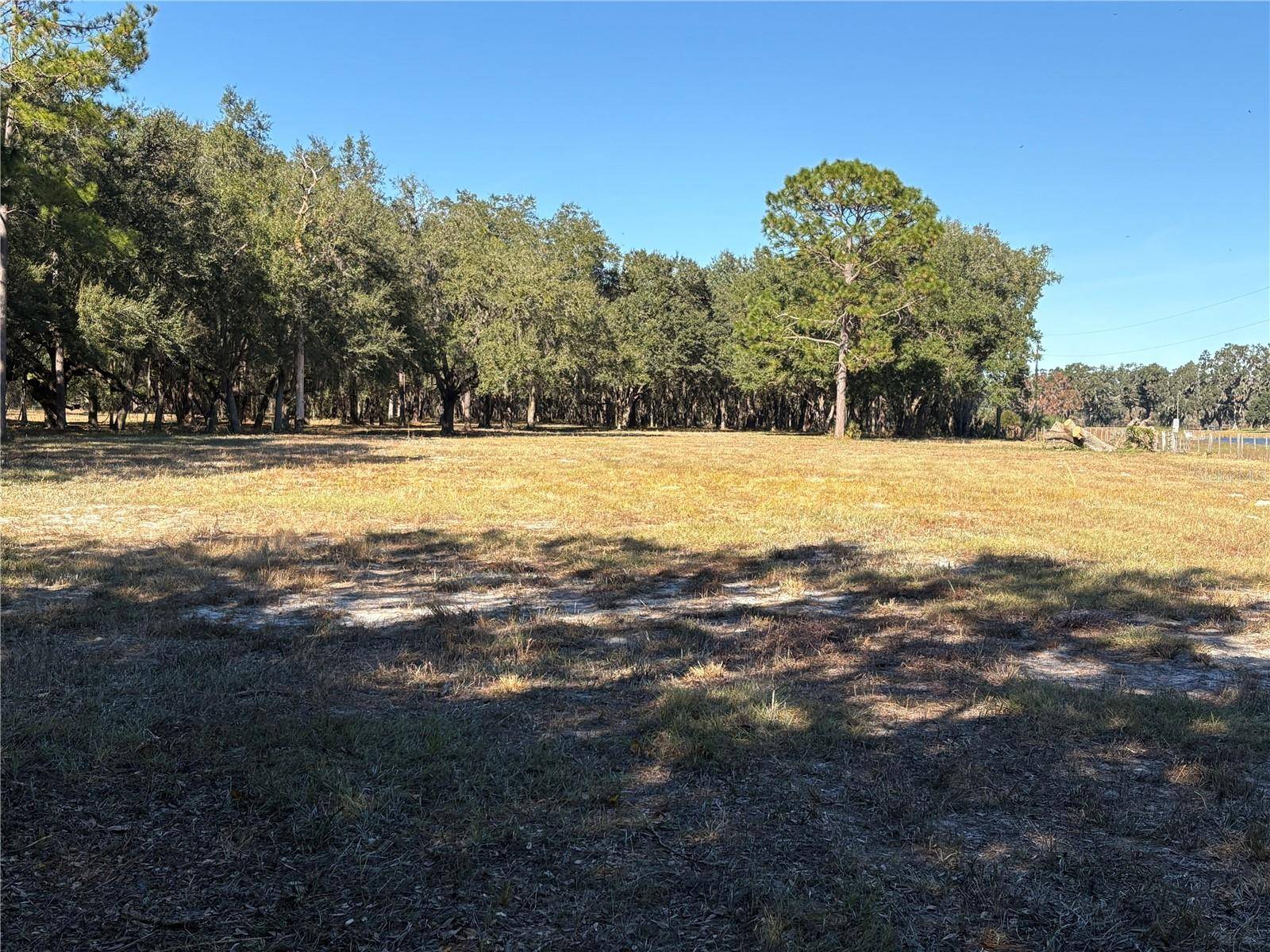 Lake Panasoffkee, FL 33538,CR 416N