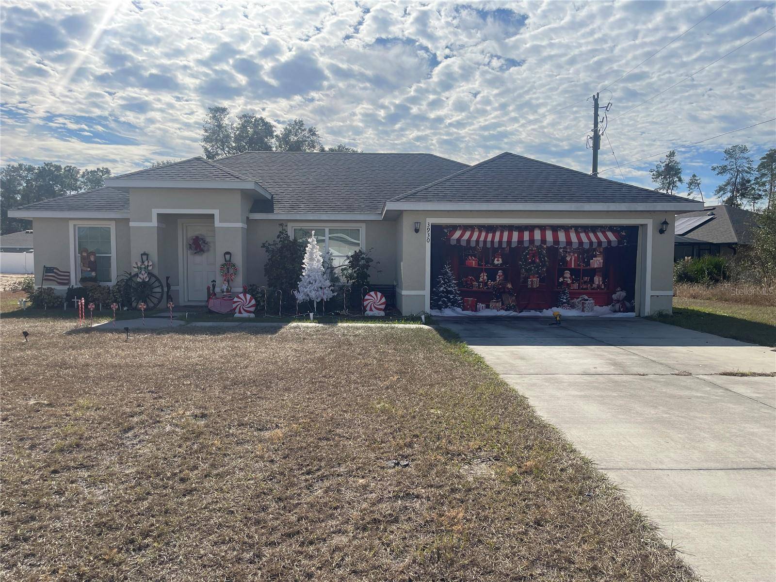 Ocala, FL 34473,3930 SW 171ST LN