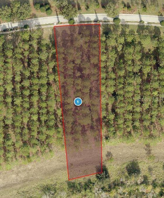 Bella Collina, FL 34756,16744 ARTIMINO LOOP