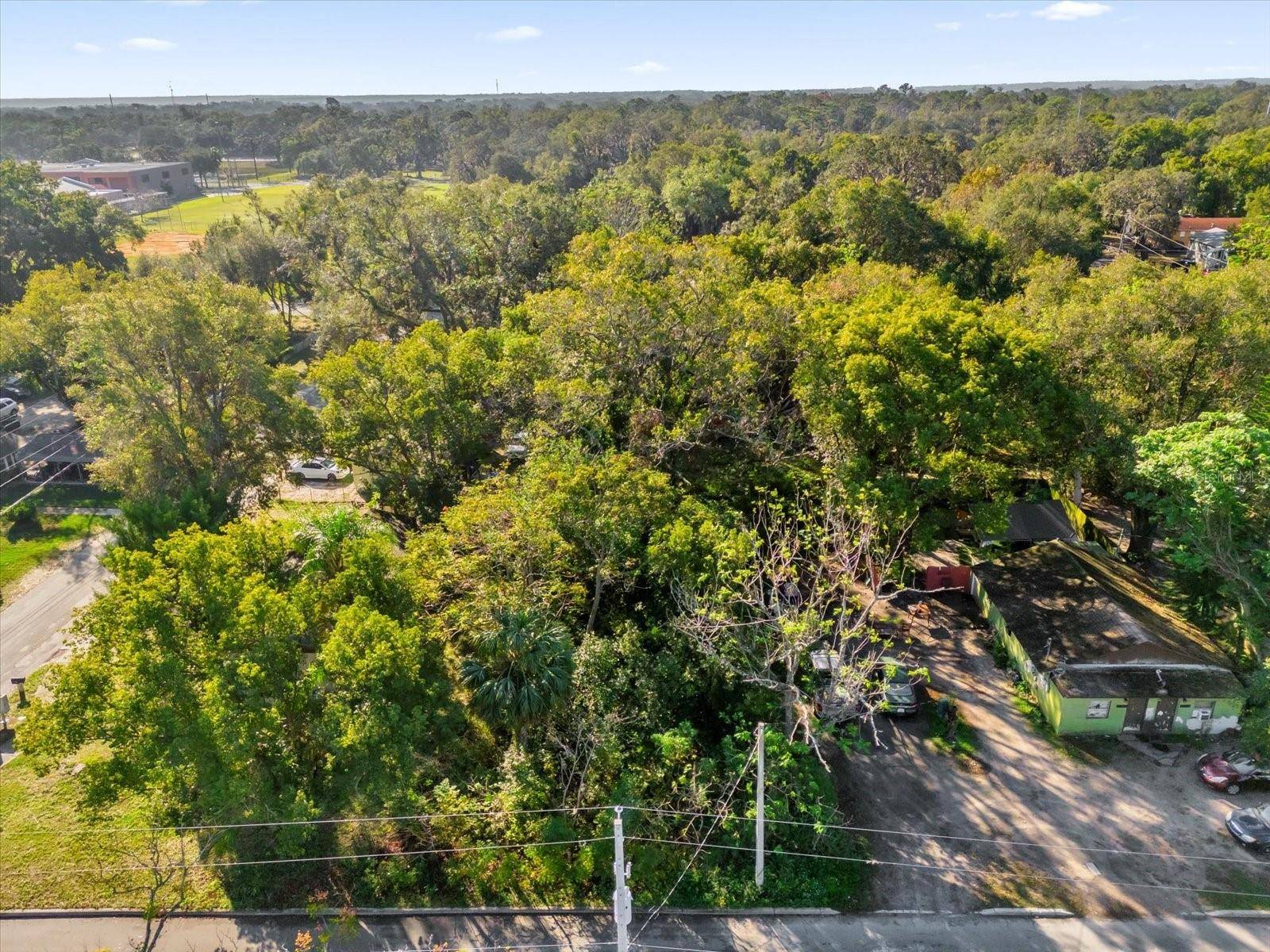 Mount Dora, FL 32757,TBD E JACKSON AVE