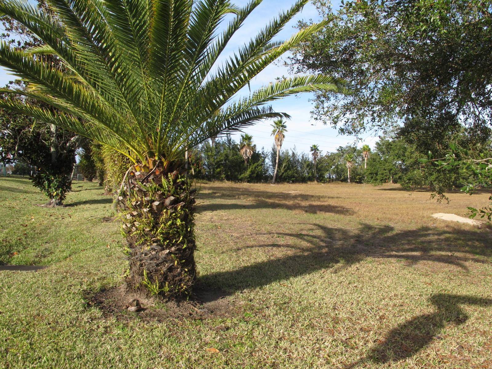 Groveland, FL 34736,17200 ROYAL PALM DR
