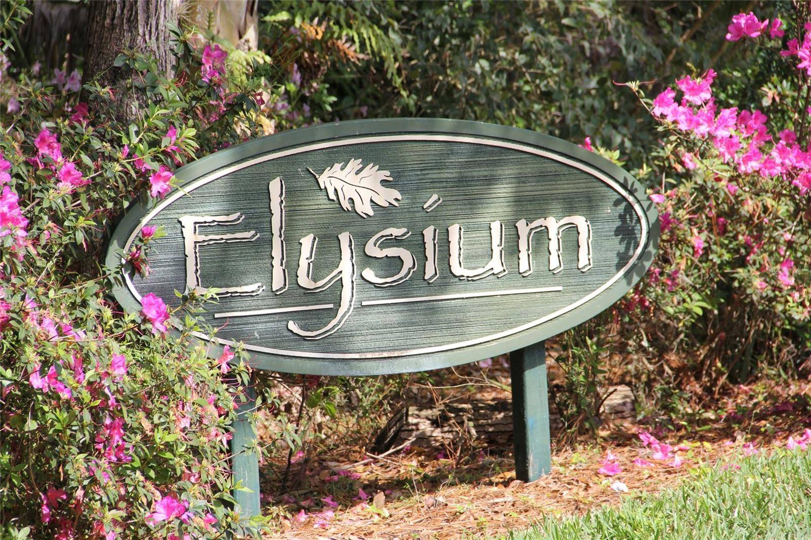 Mount Dora, FL 32757,1029 ELYSIUM BLVD