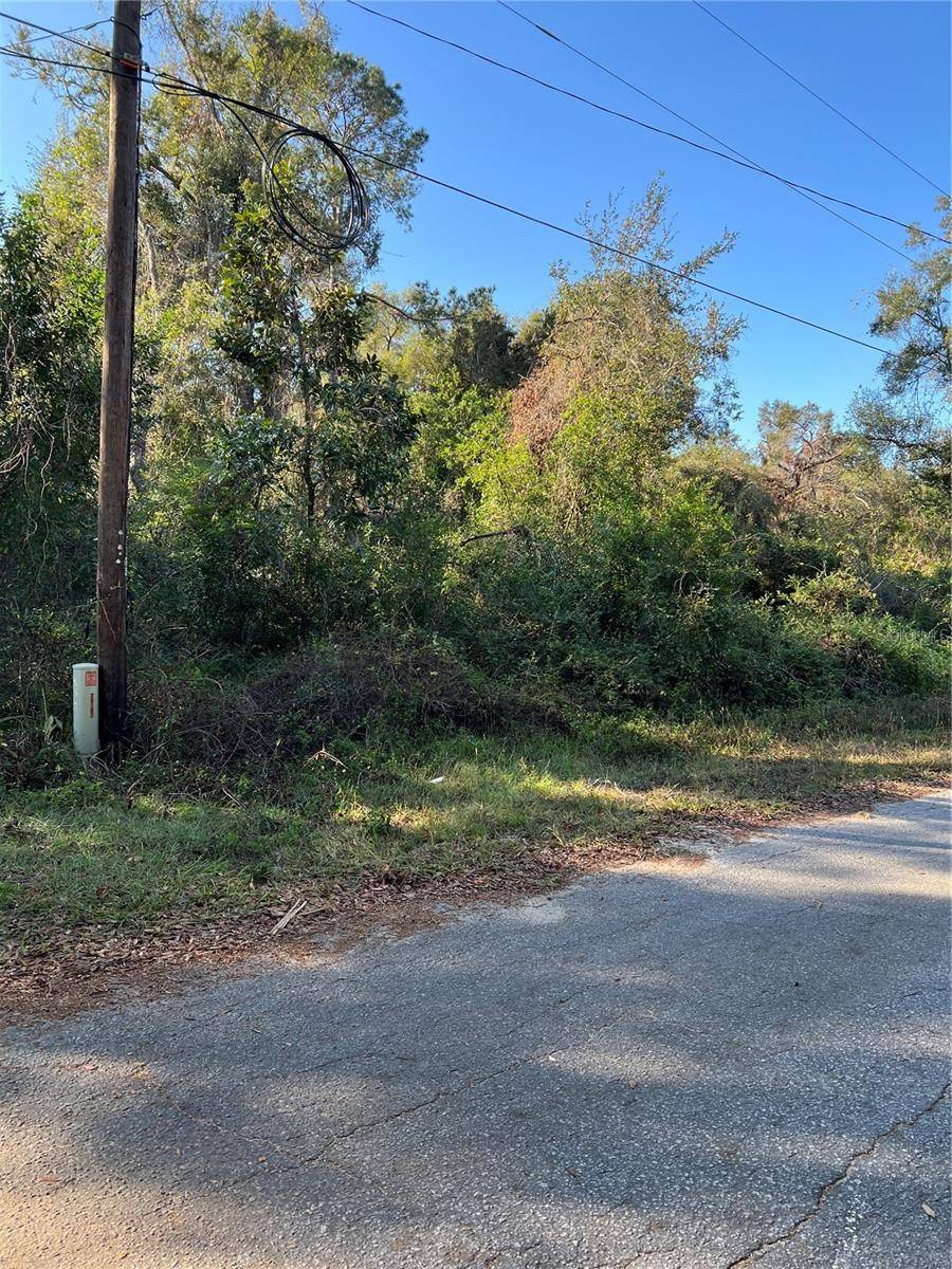 Webster, FL 33597,CR 690